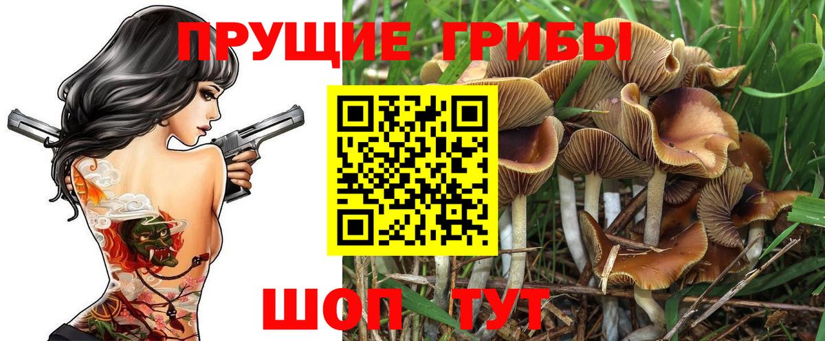 Псилоцибиновые грибы прущие грибы  Вход с VPN  Гагарин 
